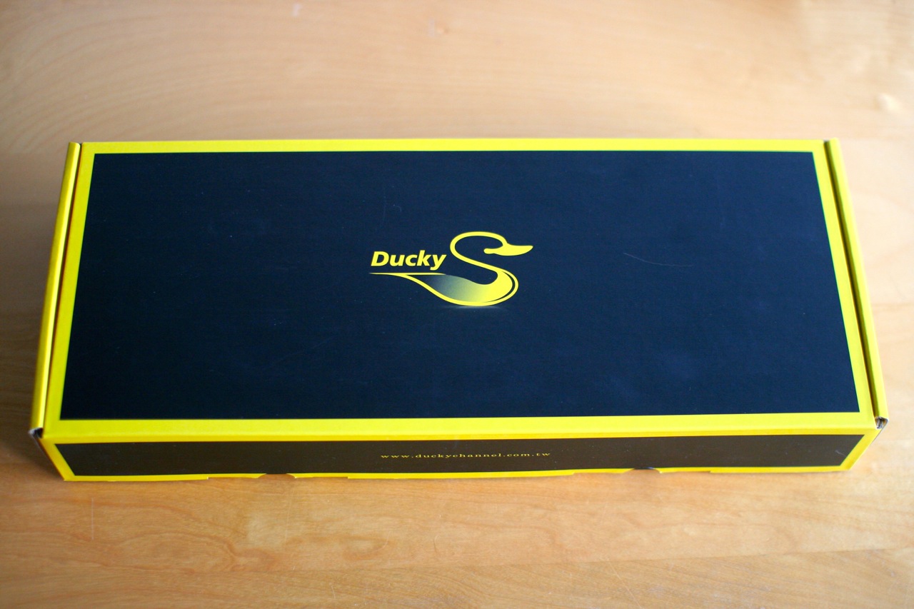 An elegant splash of duck.