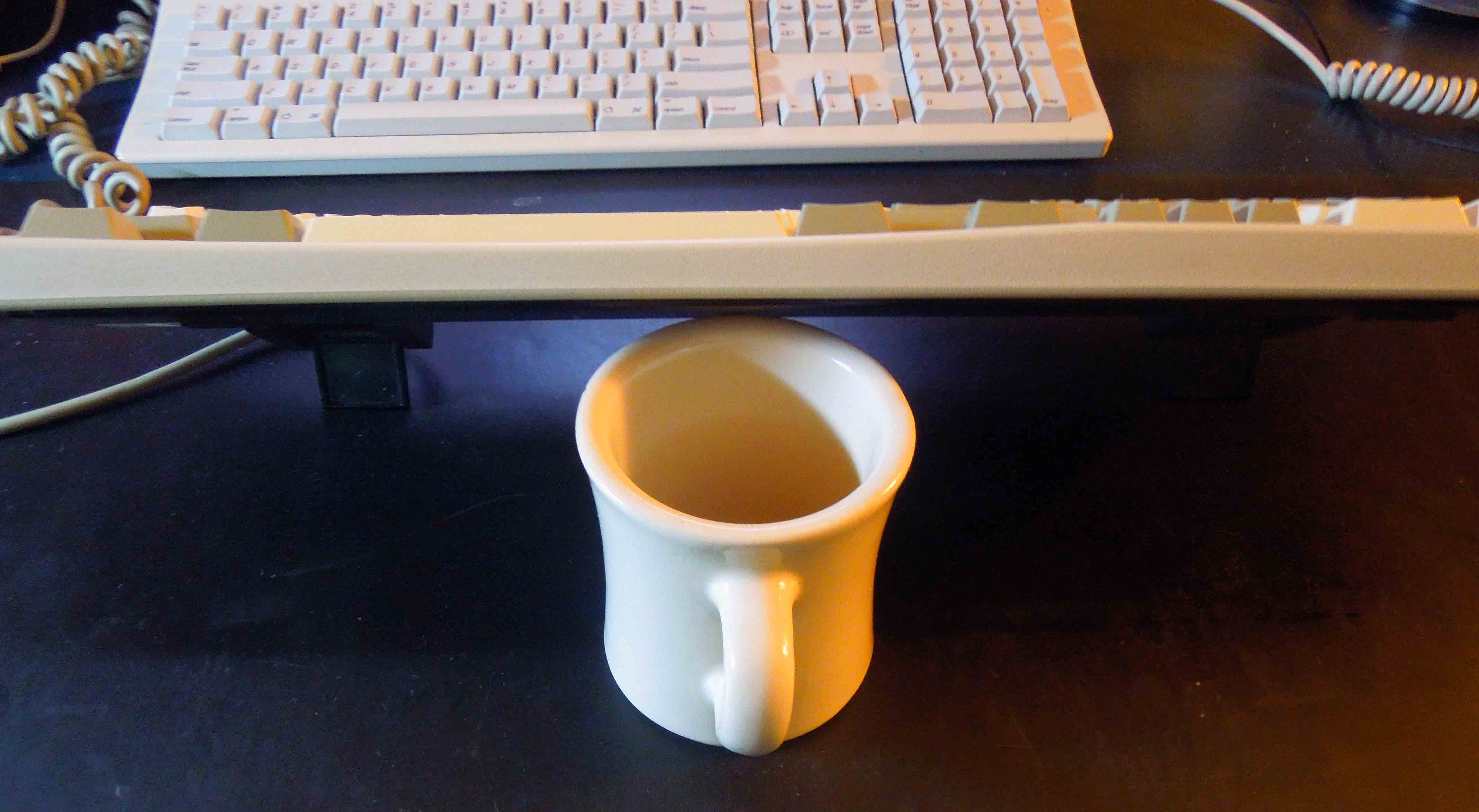 fame aruz kb scallop.jpg