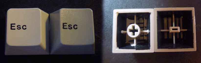 aruzcherrycap copy.jpg