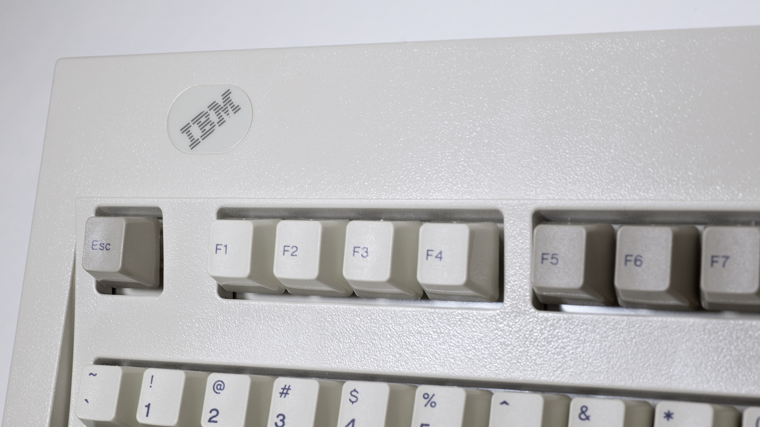 Grey-IBM-Logo-on-Model-M.jpg