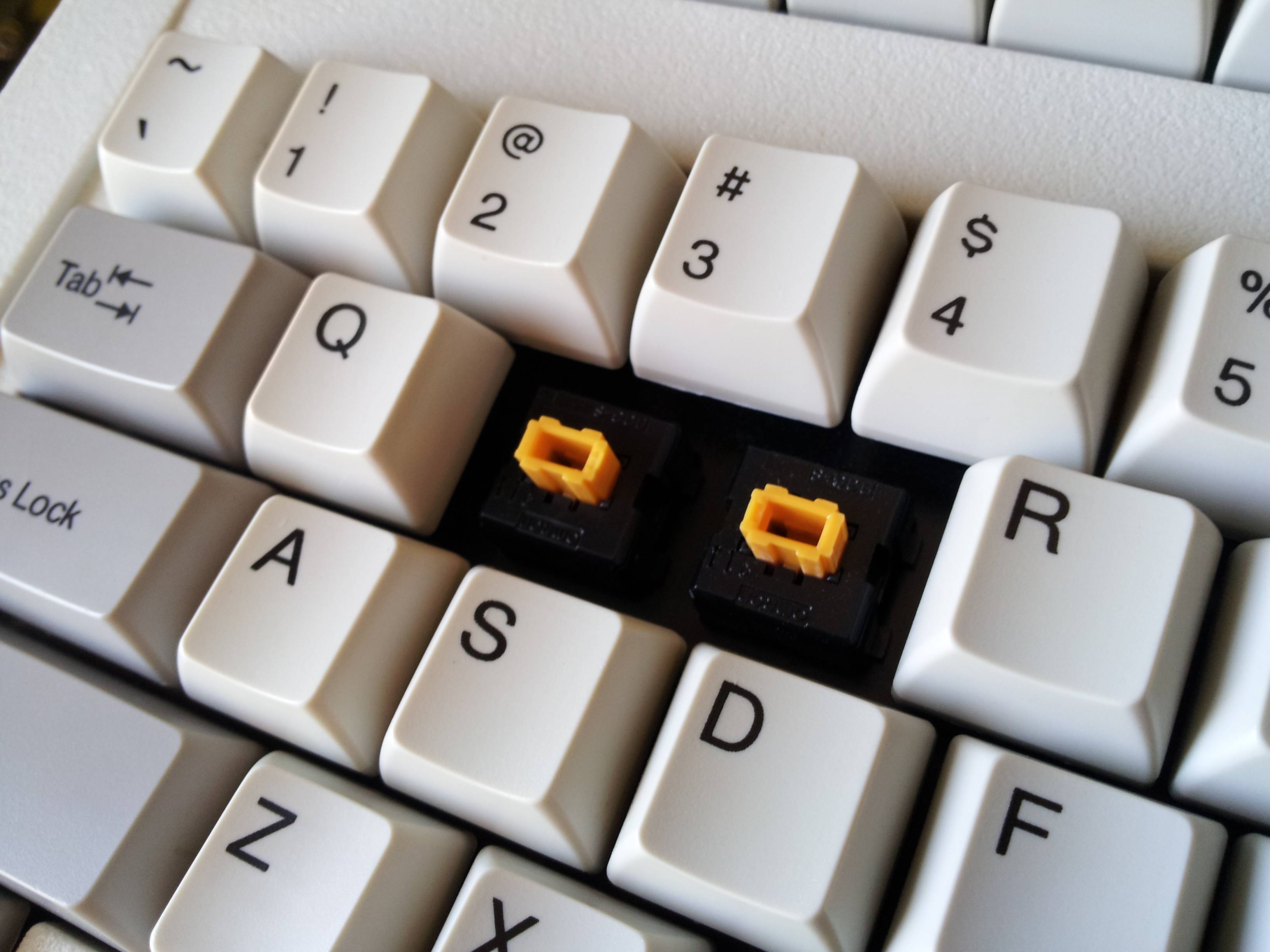 wang orange omron.jpg