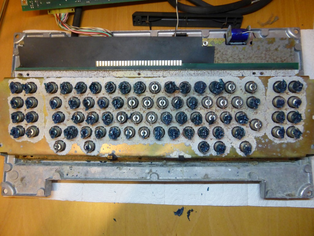 P1000821 (Medium).JPG