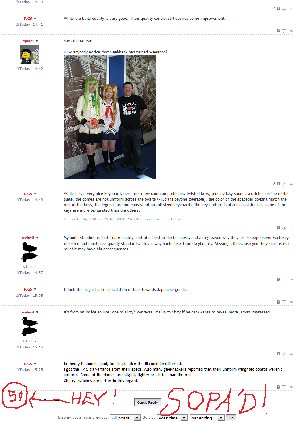 Deskthoritynet 1-19-2011 SOPA D.png