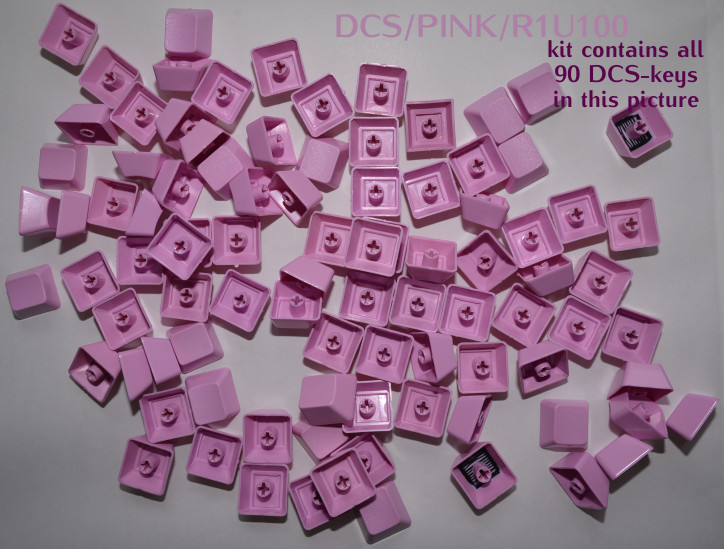 DCS_PINK_R1U100.jpg
