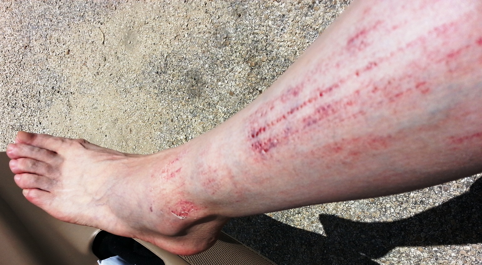 20150602_124218_2.jpg