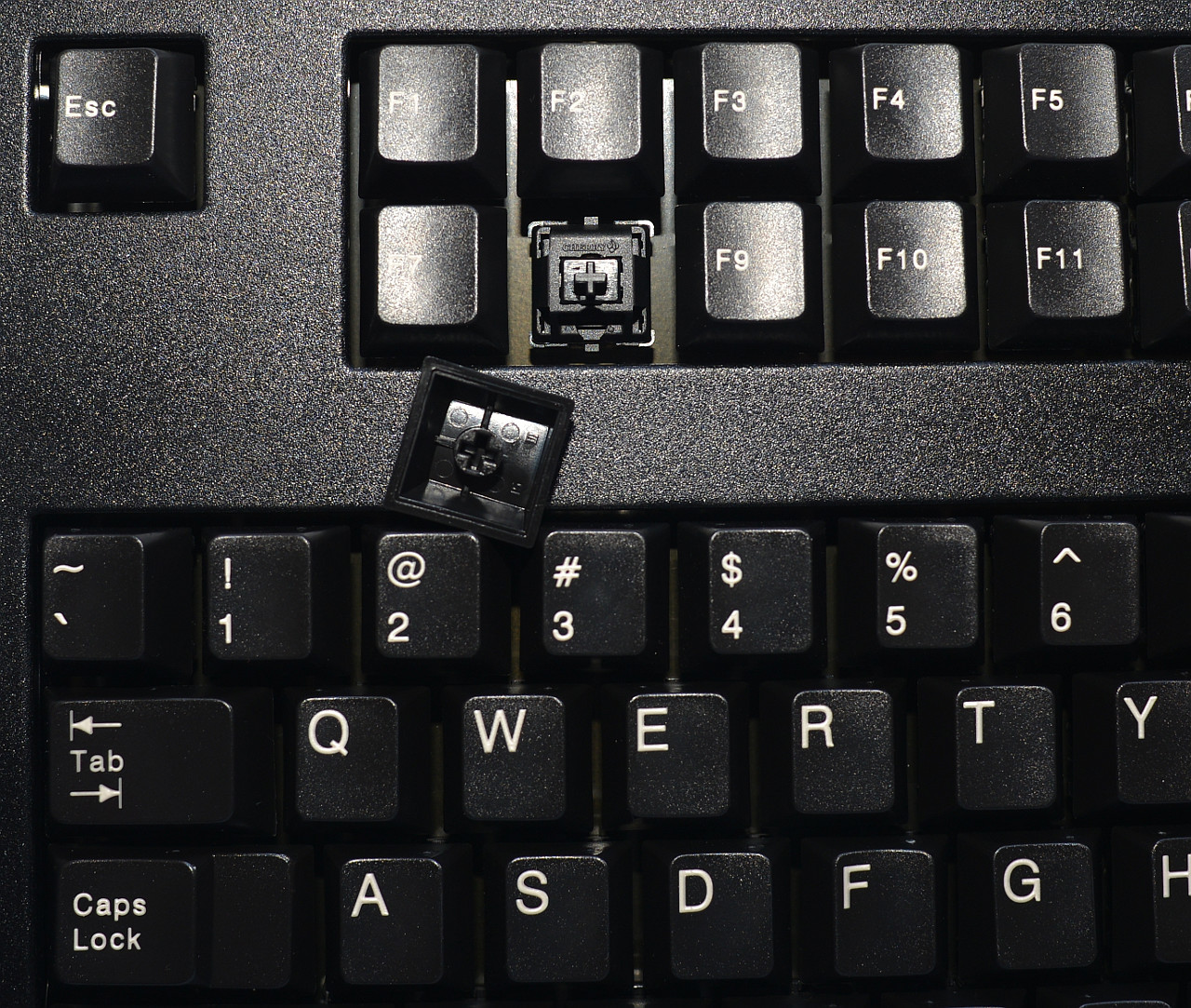 G8011915LUMUS2_004.jpg