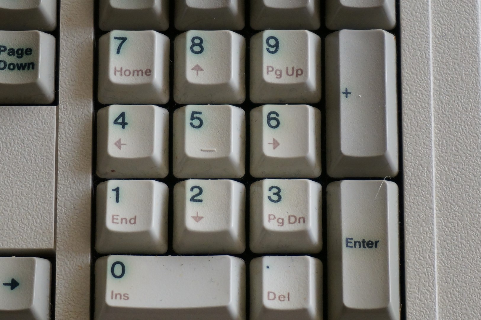 DSC00456 (Large).JPG