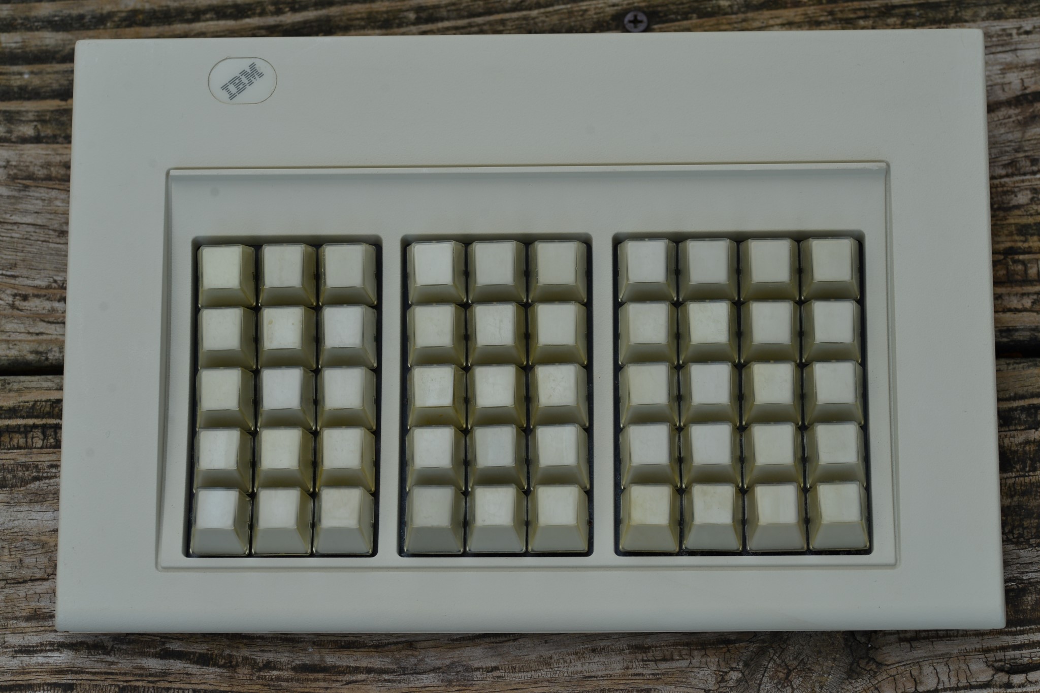 600_5006.JPG