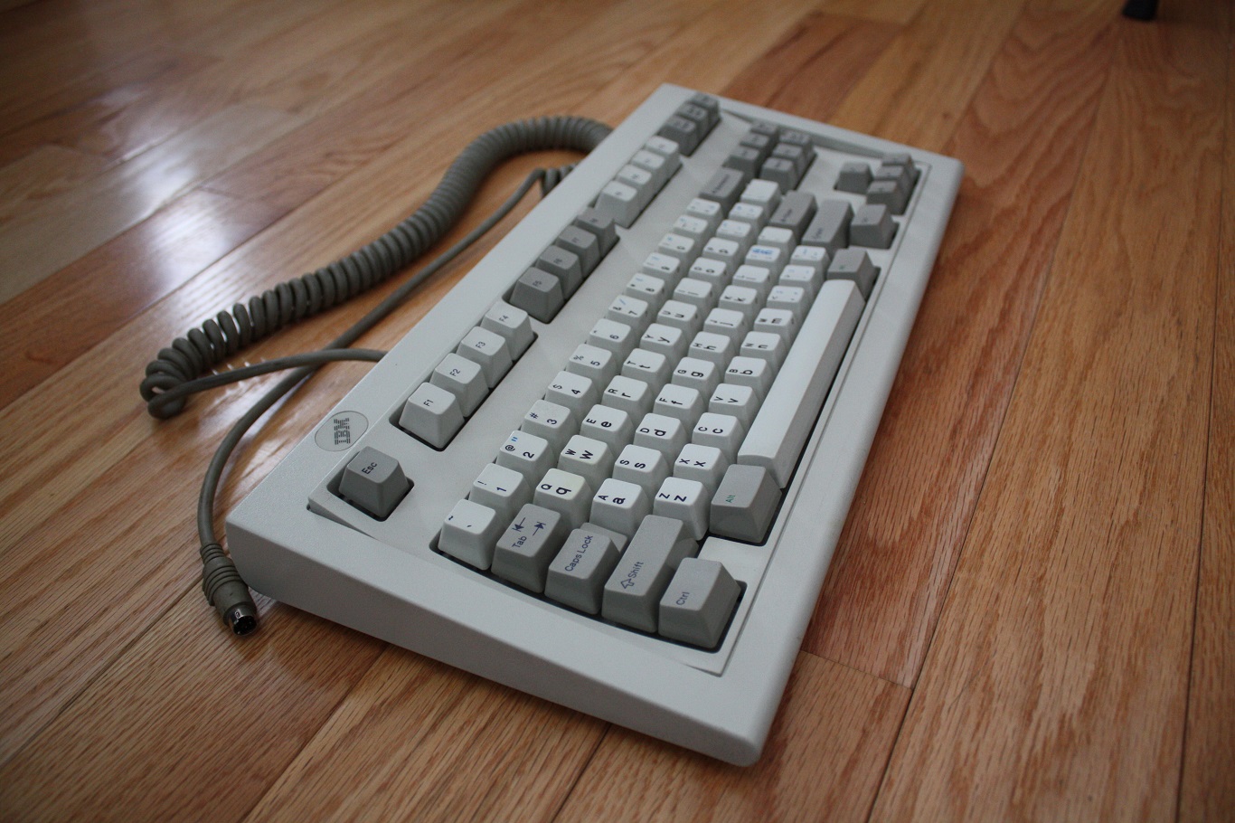 IBM Model M SSK Upper Lower - profile.JPG