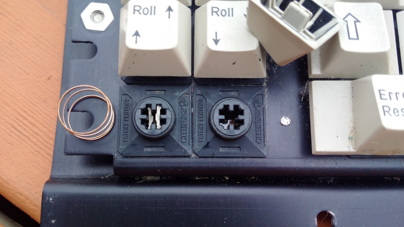 Cherry - Shamrock foam and foil.jpg