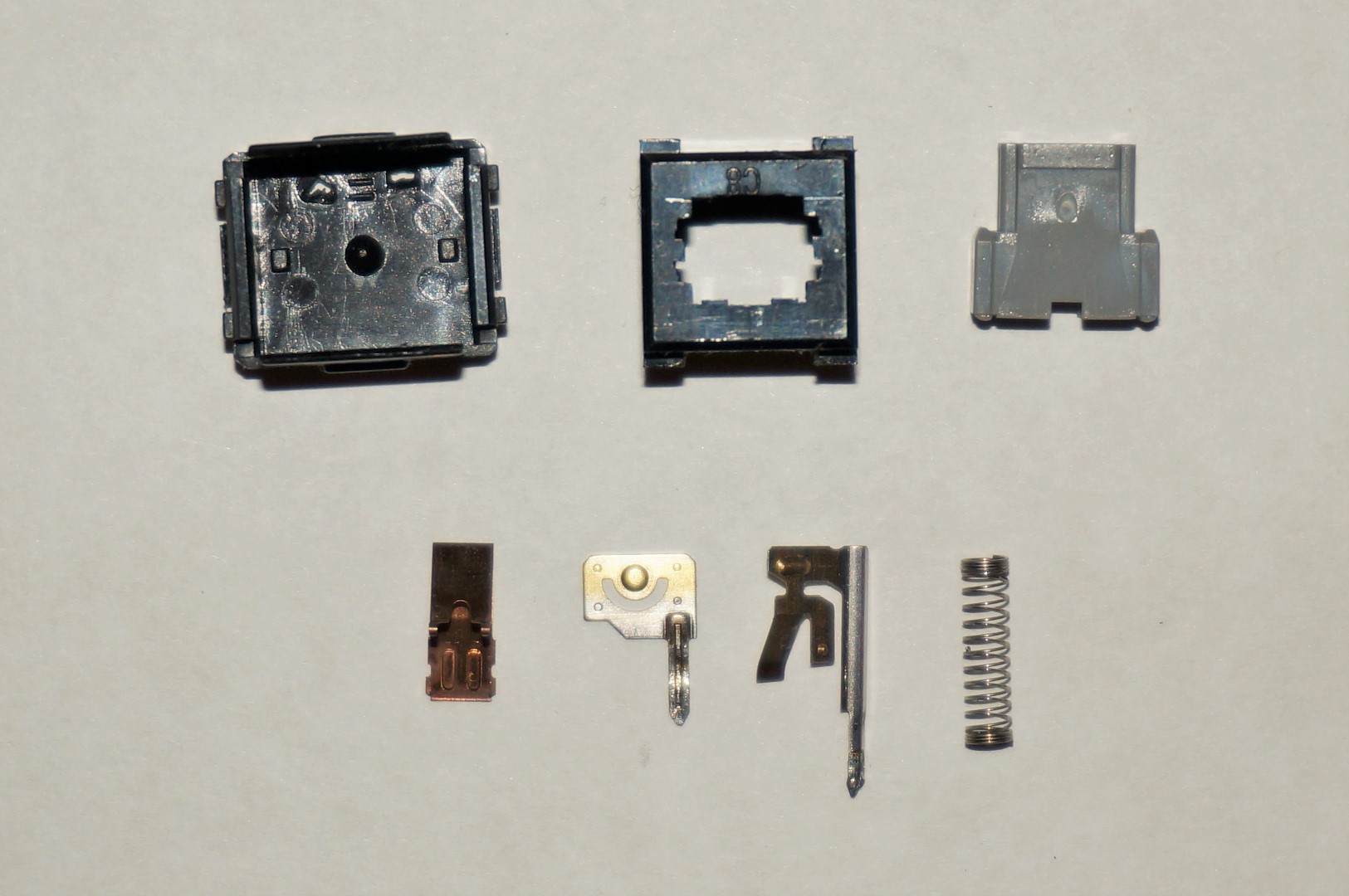 DSC01135 (Large).JPG