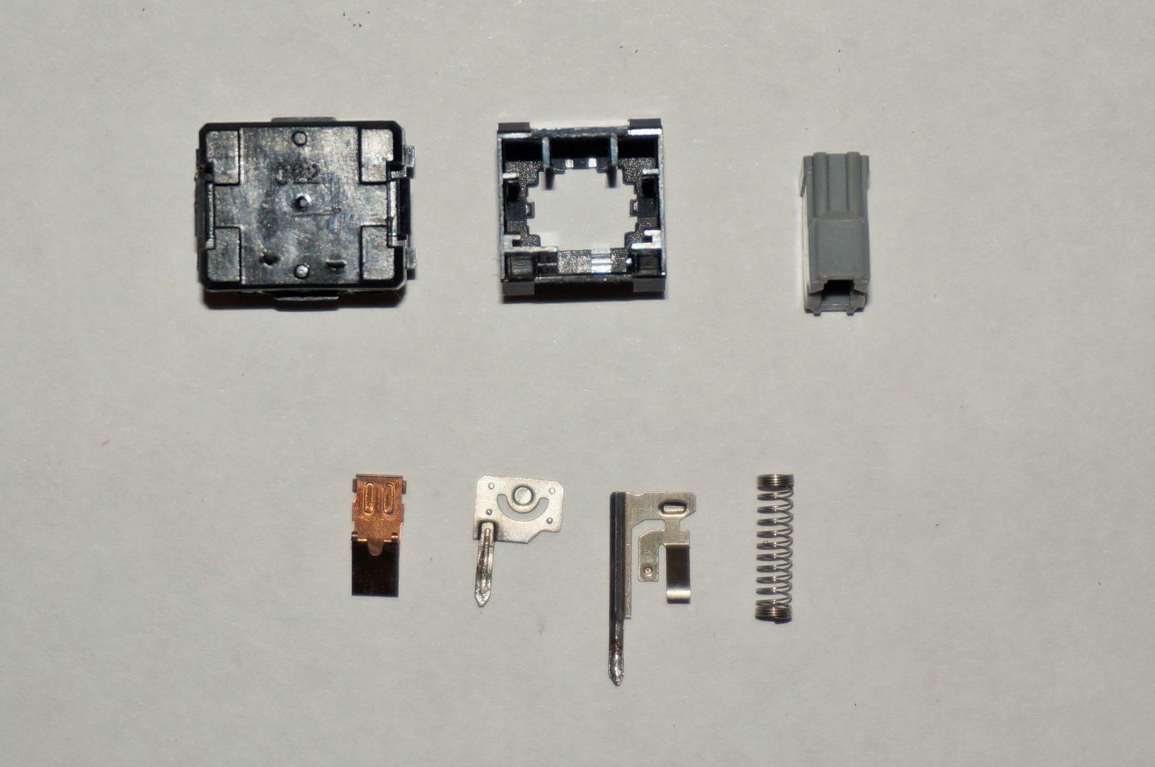 DSC01136 (Large).JPG