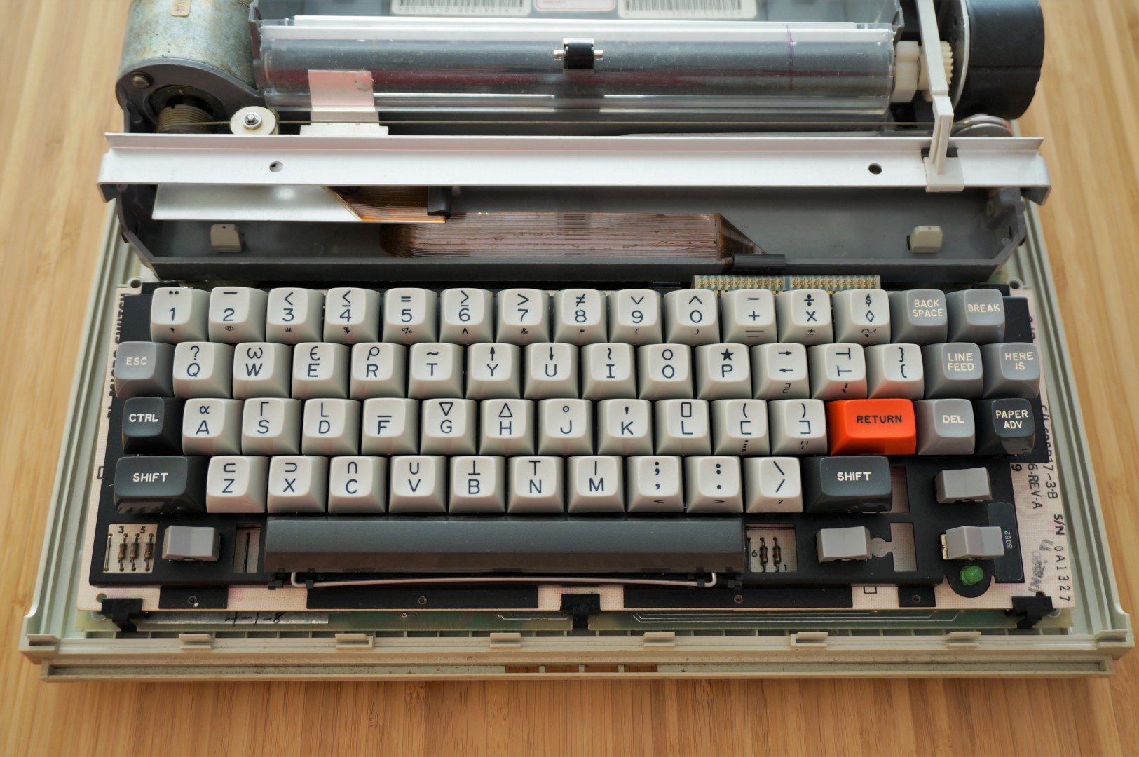 DSC01154 (Large).JPG