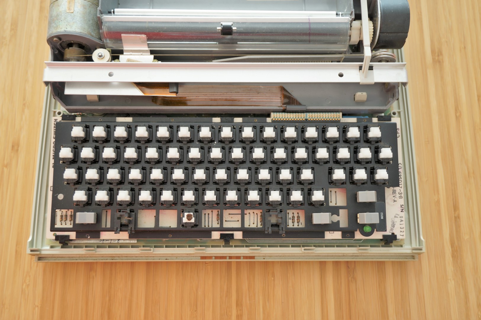 DSC01146 (Large).JPG