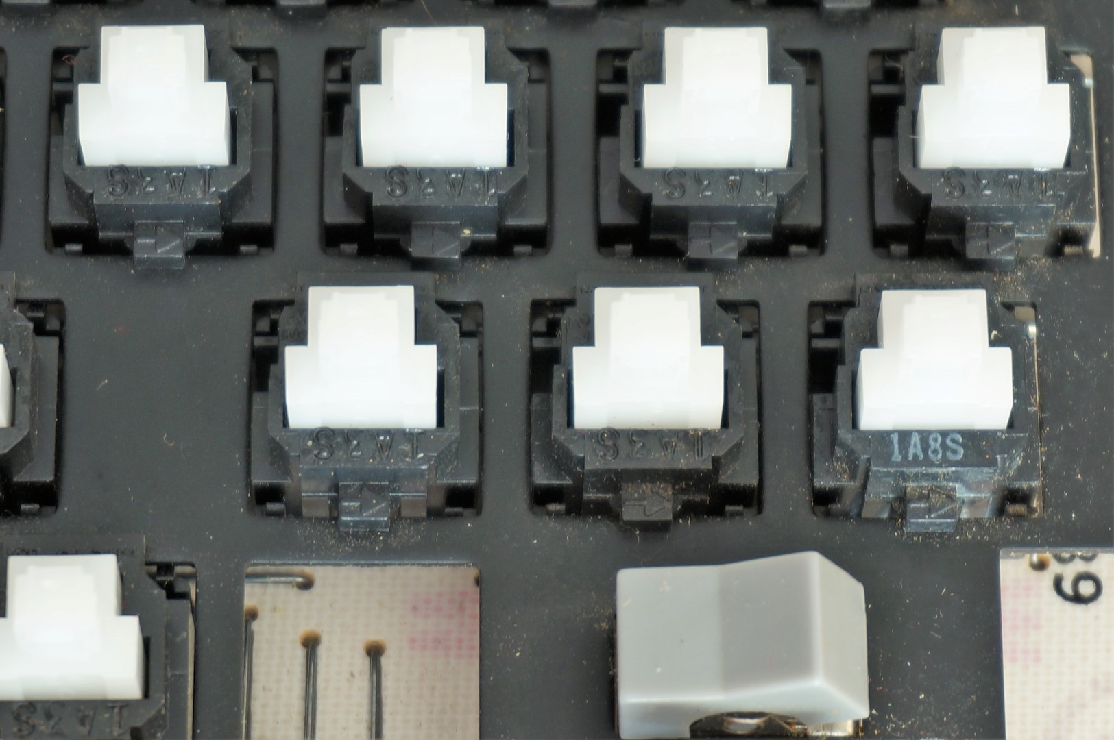 DSC01149 (Large).JPG