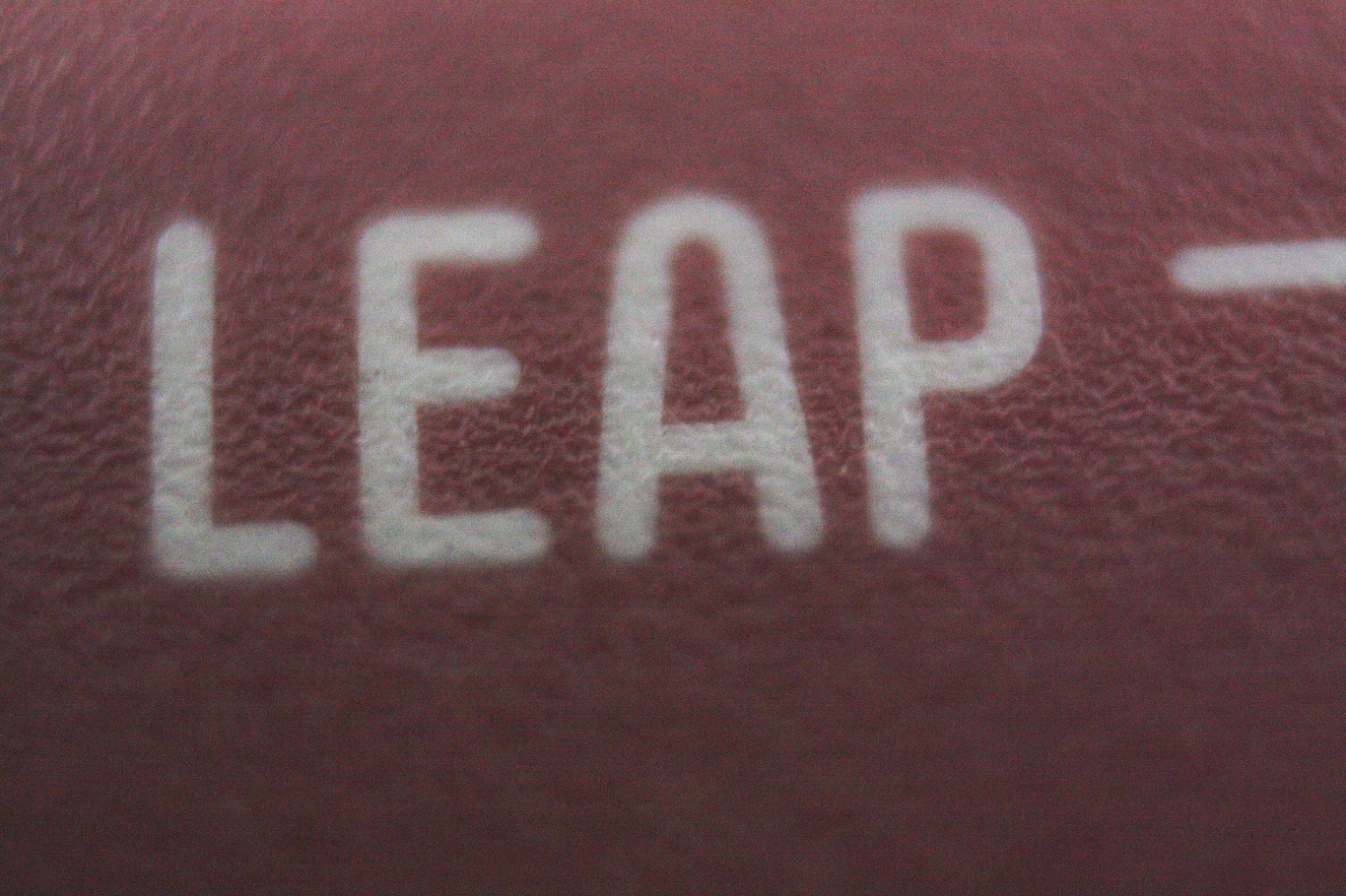 Canon Cat - double shot leap close-up