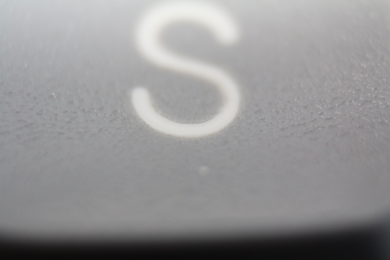 Canon Cat - double shot close-up