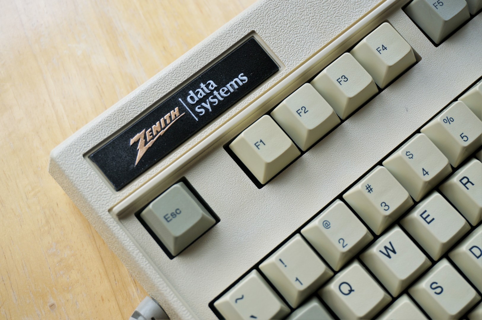 DSC01225 (Large).JPG