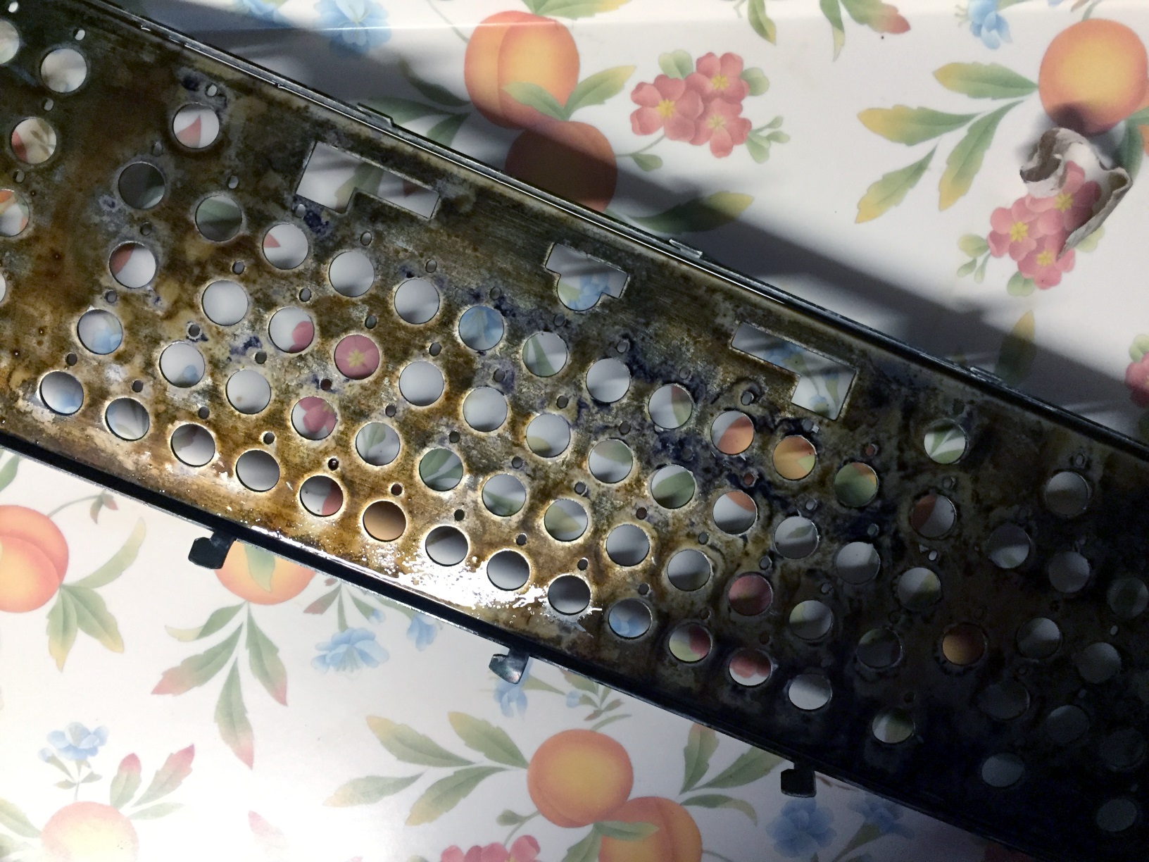 Photo 03-07-2016, 20 56 05.jpg