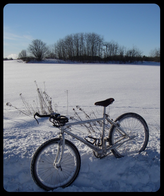 winterbike.jpg