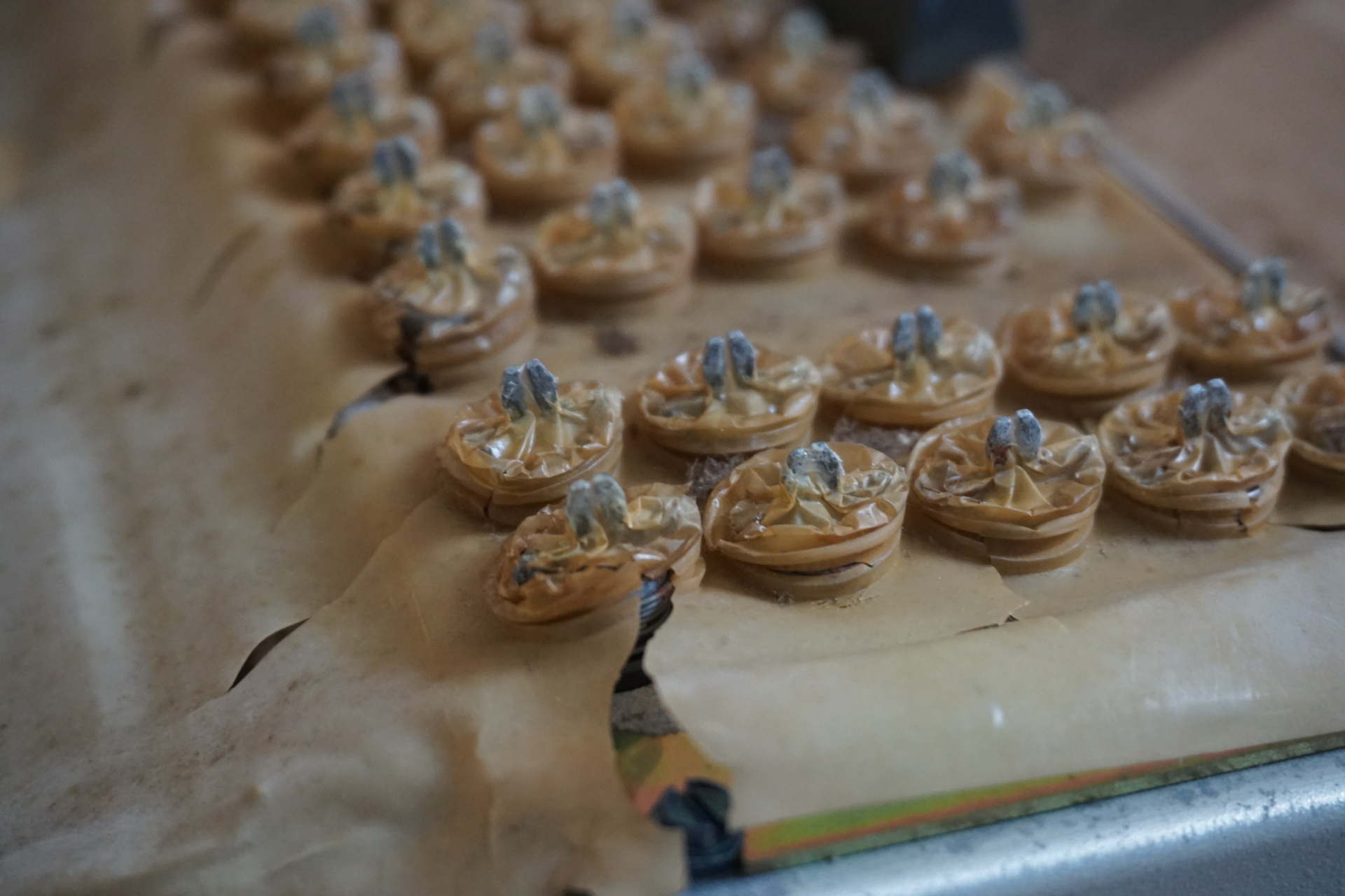 contamination shield.JPG