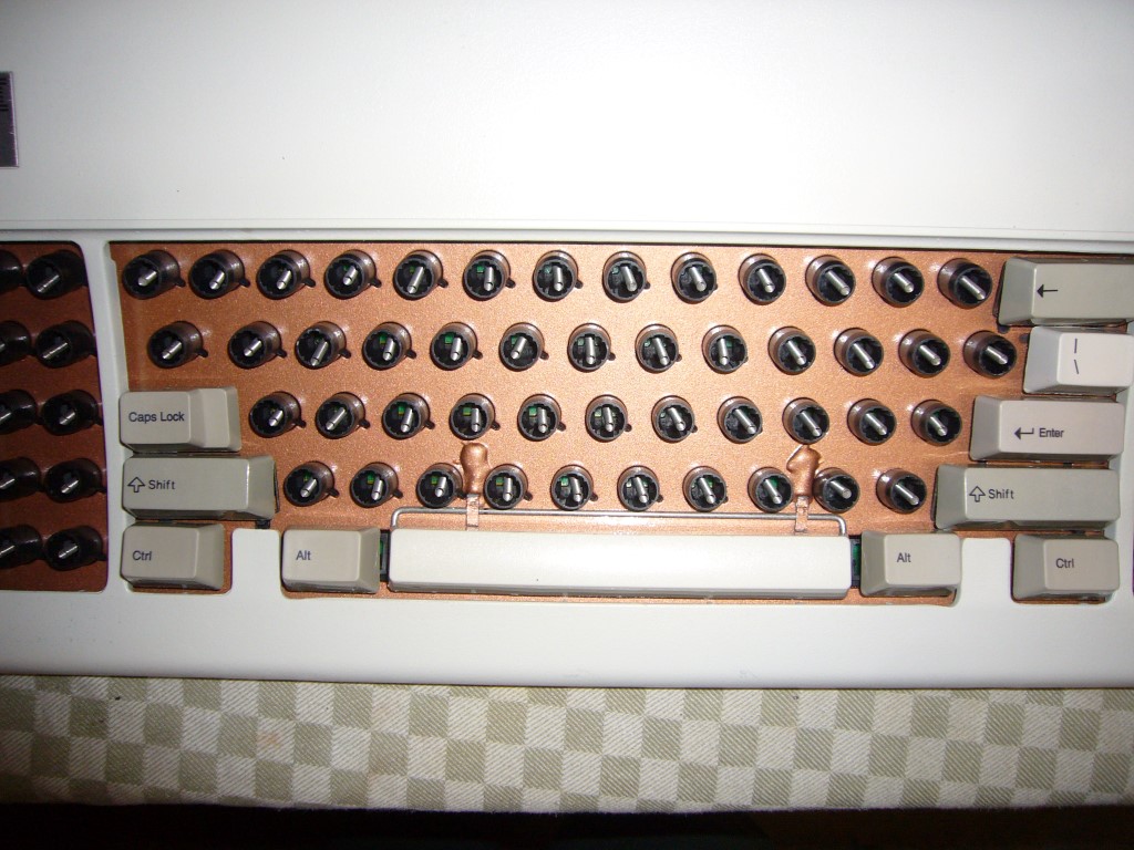 P1140535 (Medium).JPG