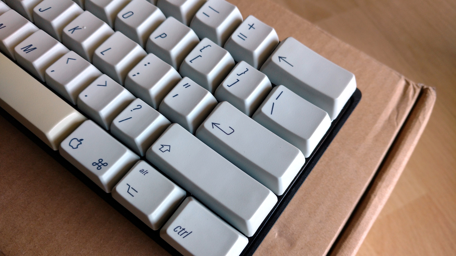 aek_detail.jpg