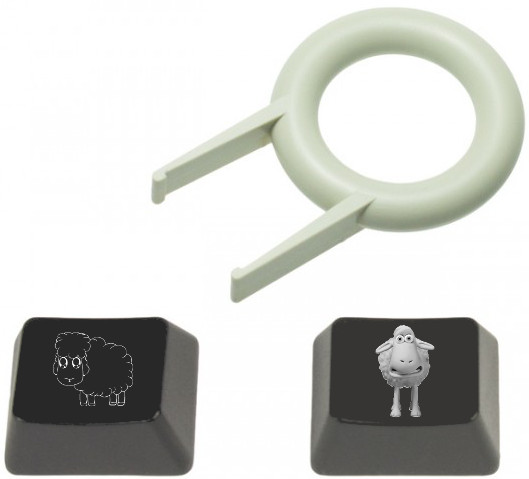 sheepkeys.jpg