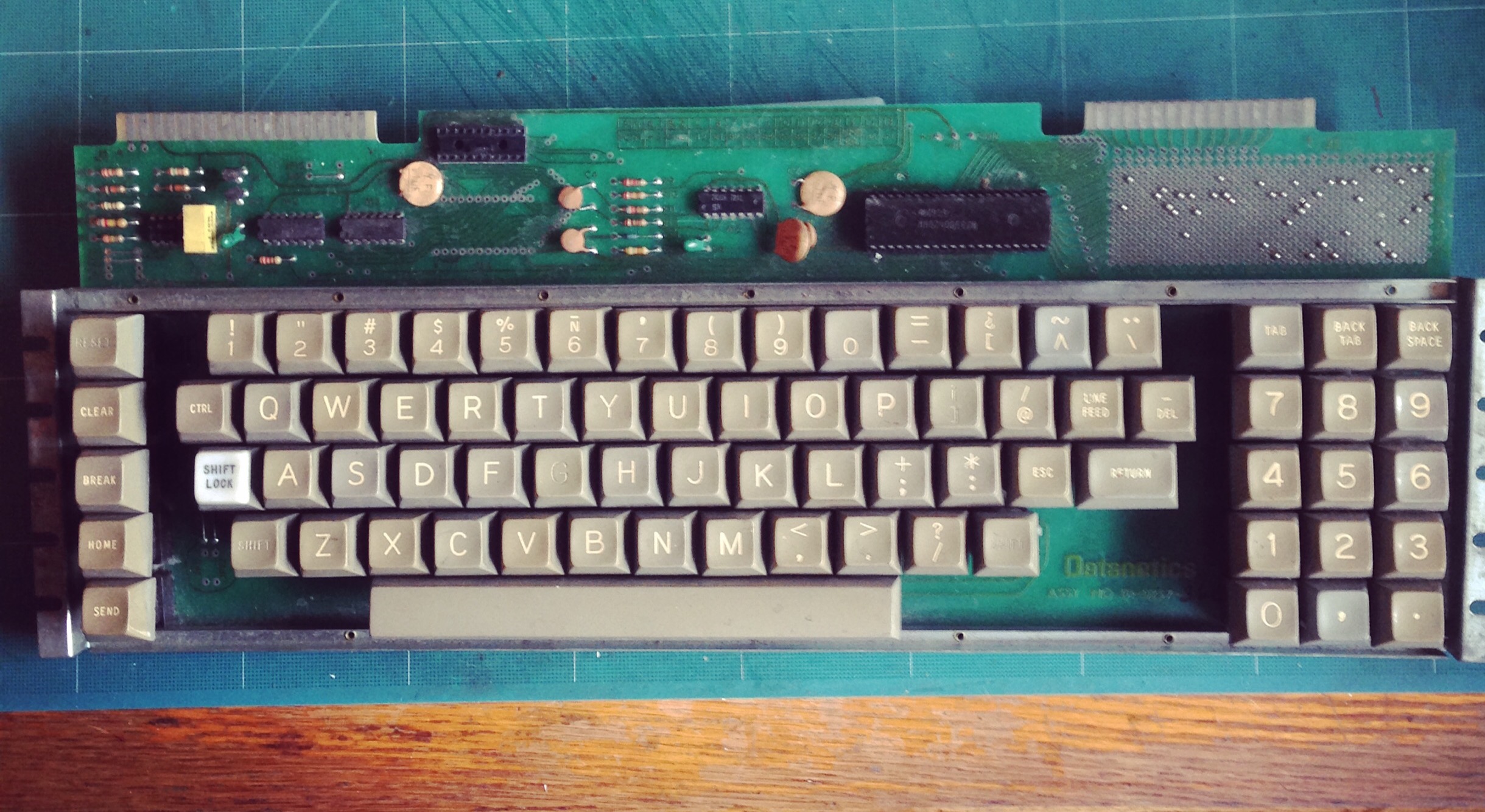 IMG_1954 (Editado).JPG