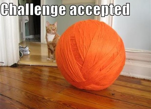 challenge.jpg