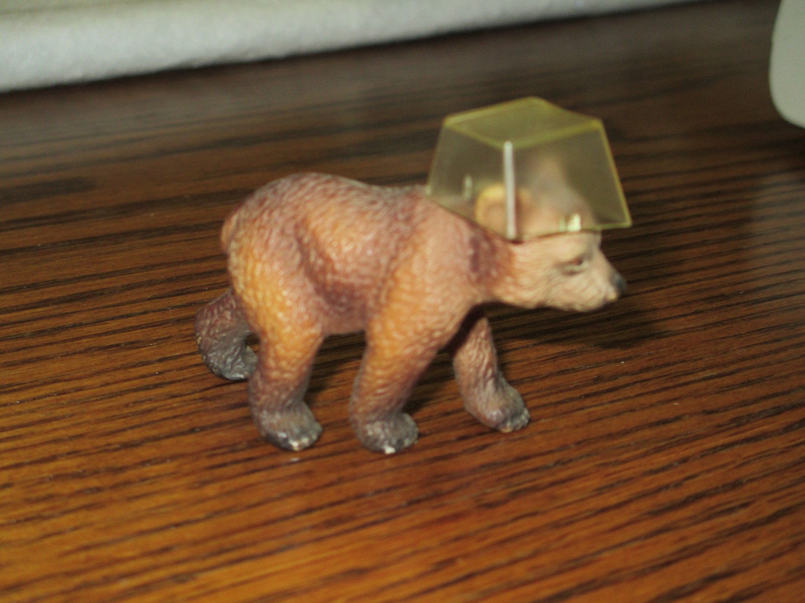 Bear cub with a Devo complex — original cap.