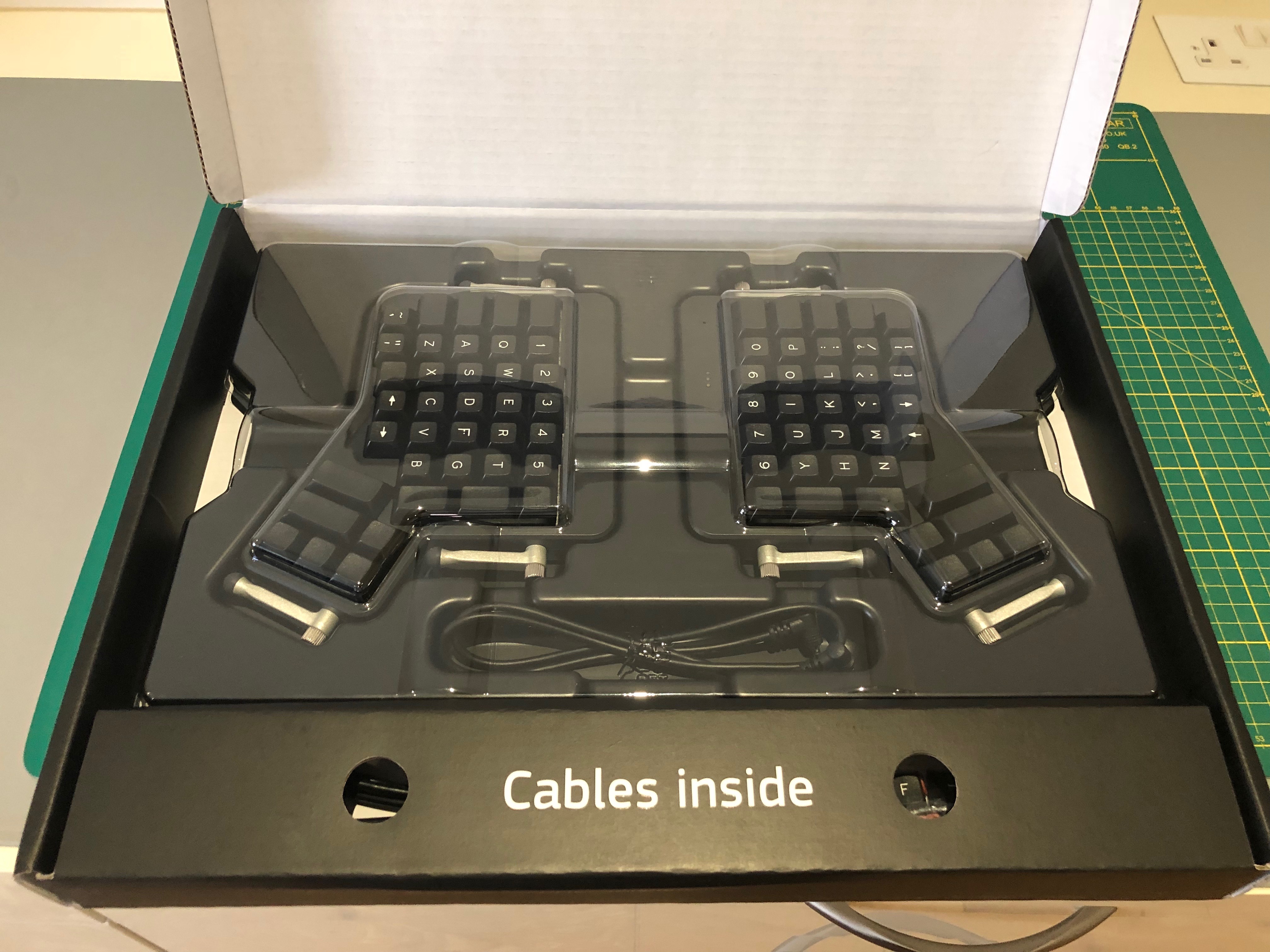 I have more pictures of the wings!