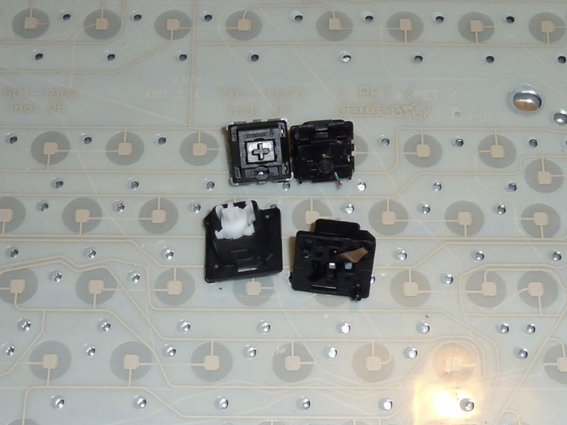 mx with my on my membrane