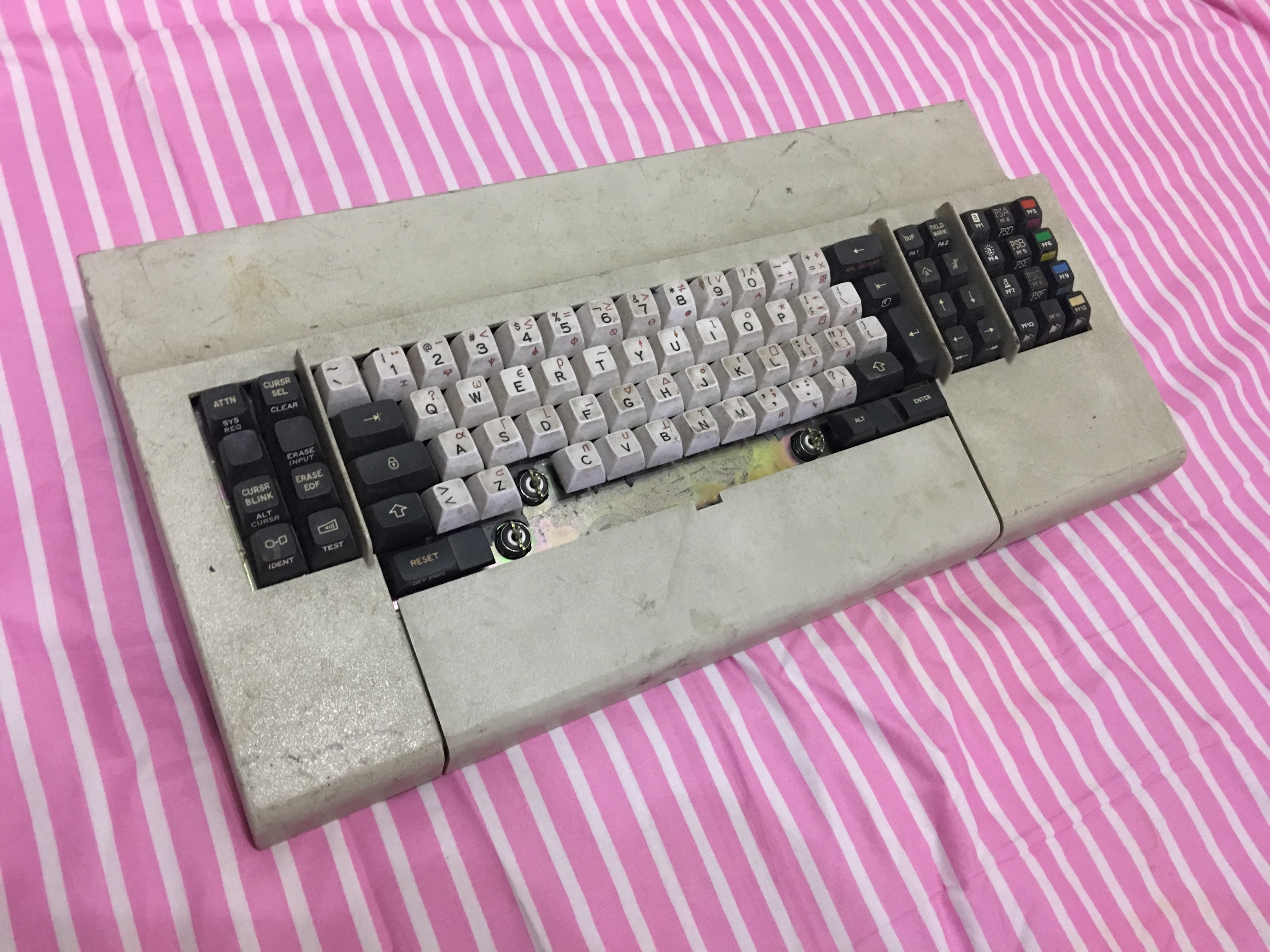 Viewing from the front 1