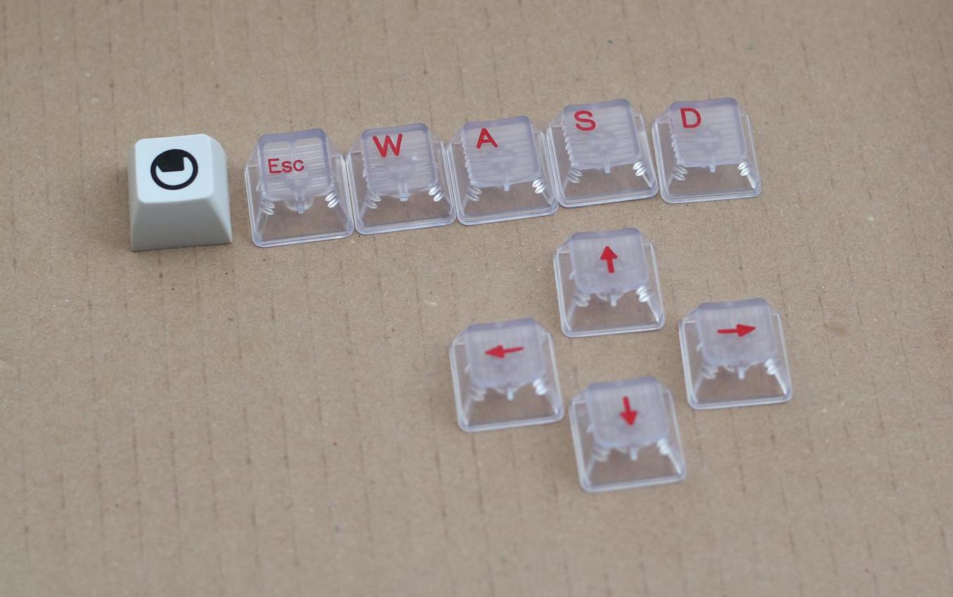 IMG_4834 (Large).JPG