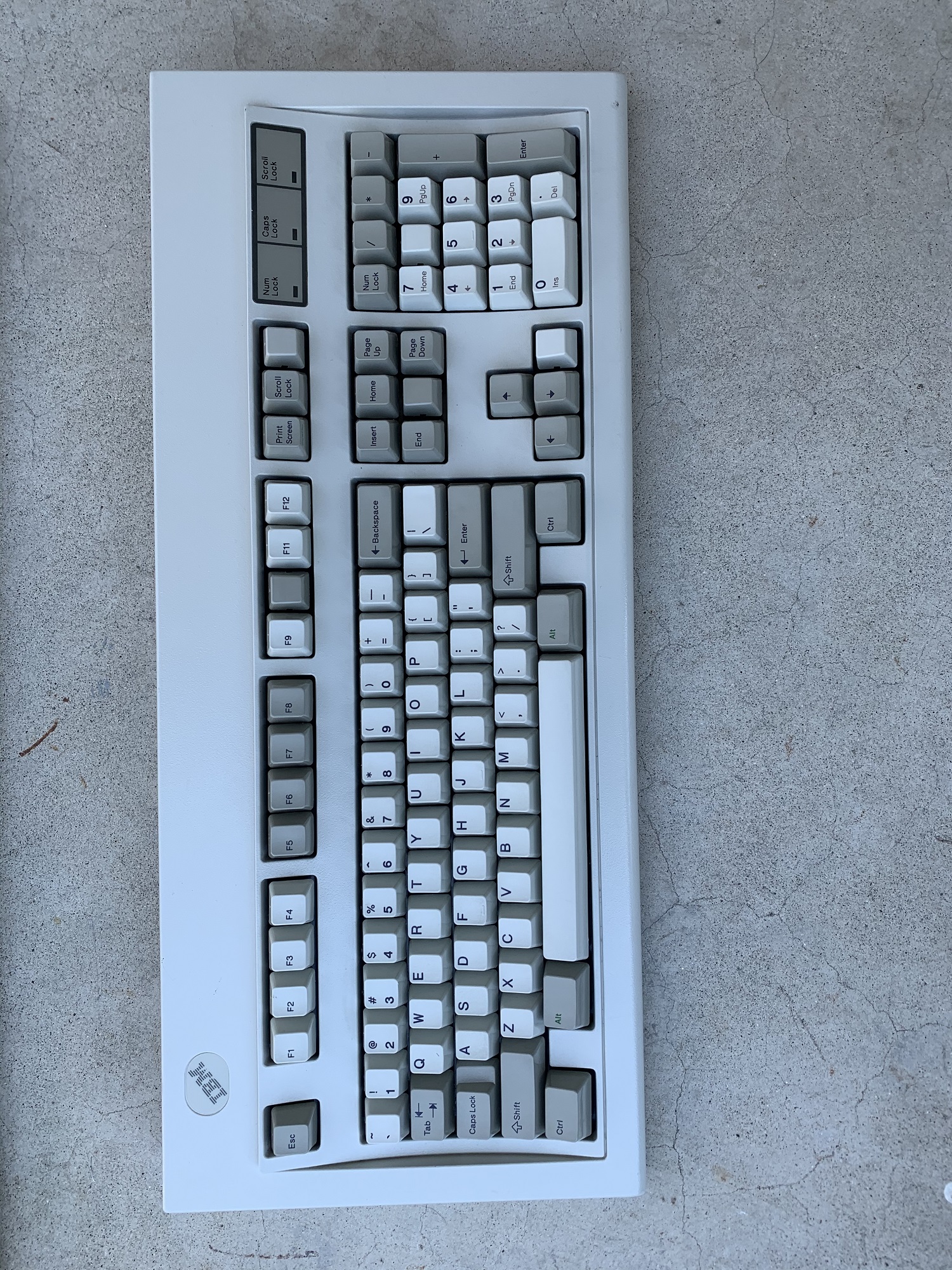 Photo Apr 11, 12 57 36 PM.jpg