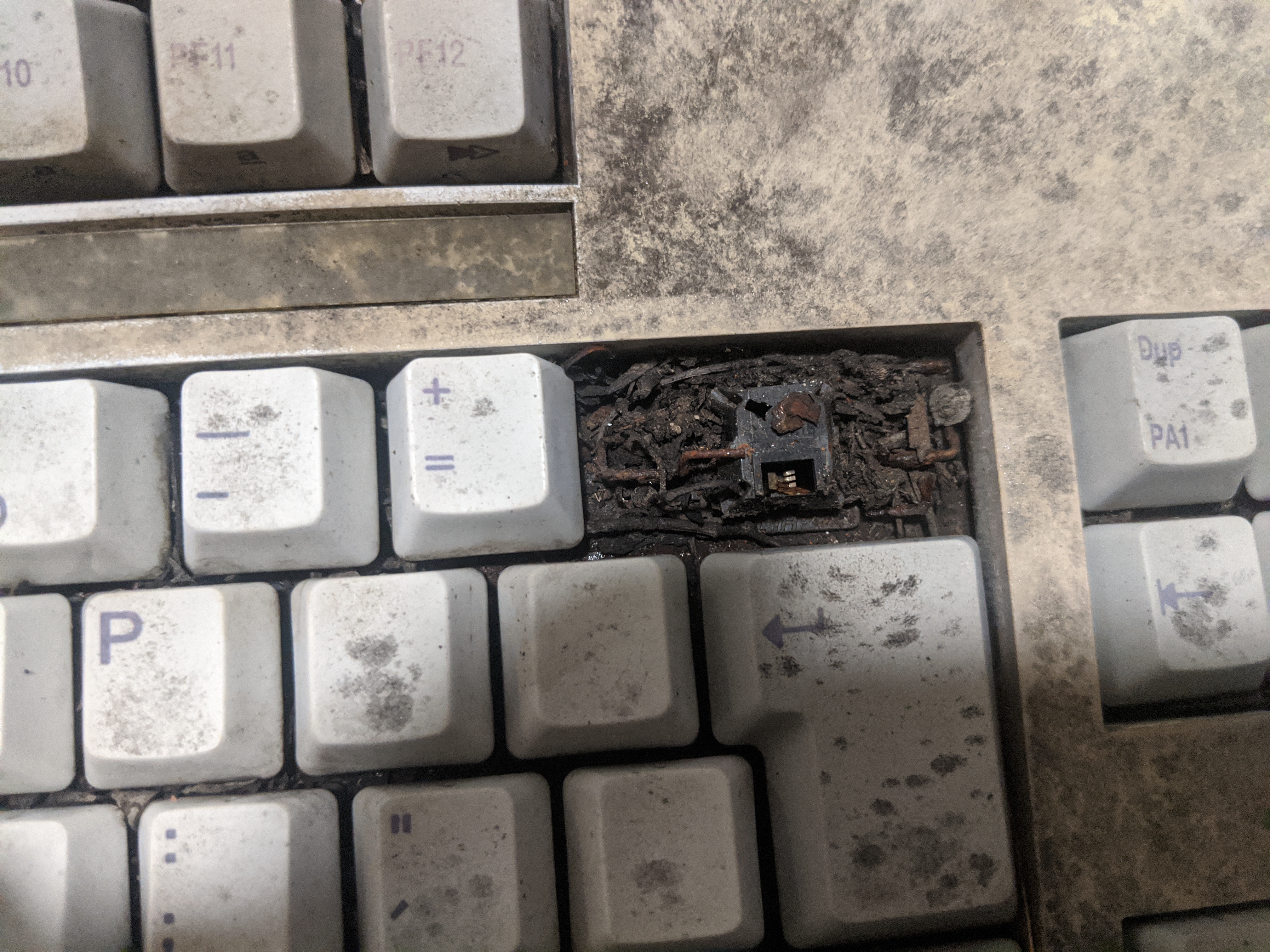 IMG_20200430_204735 (1).jpg