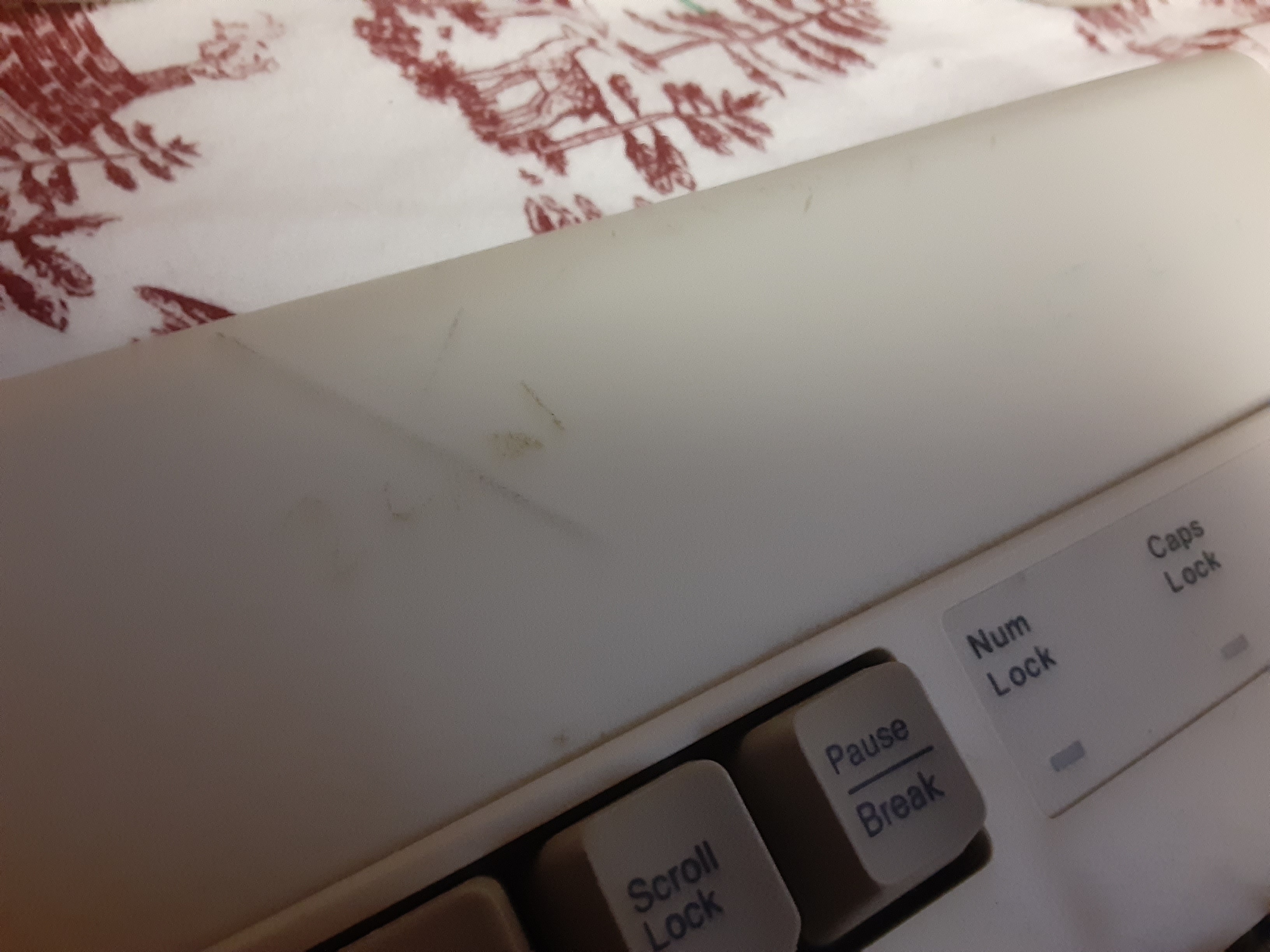 Some drawing or something from previous owner, havent bothered trying to clean it