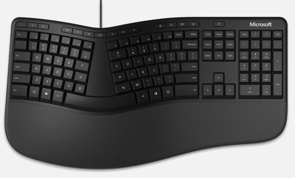 Microsoft "Ergonomic" Keyboard.