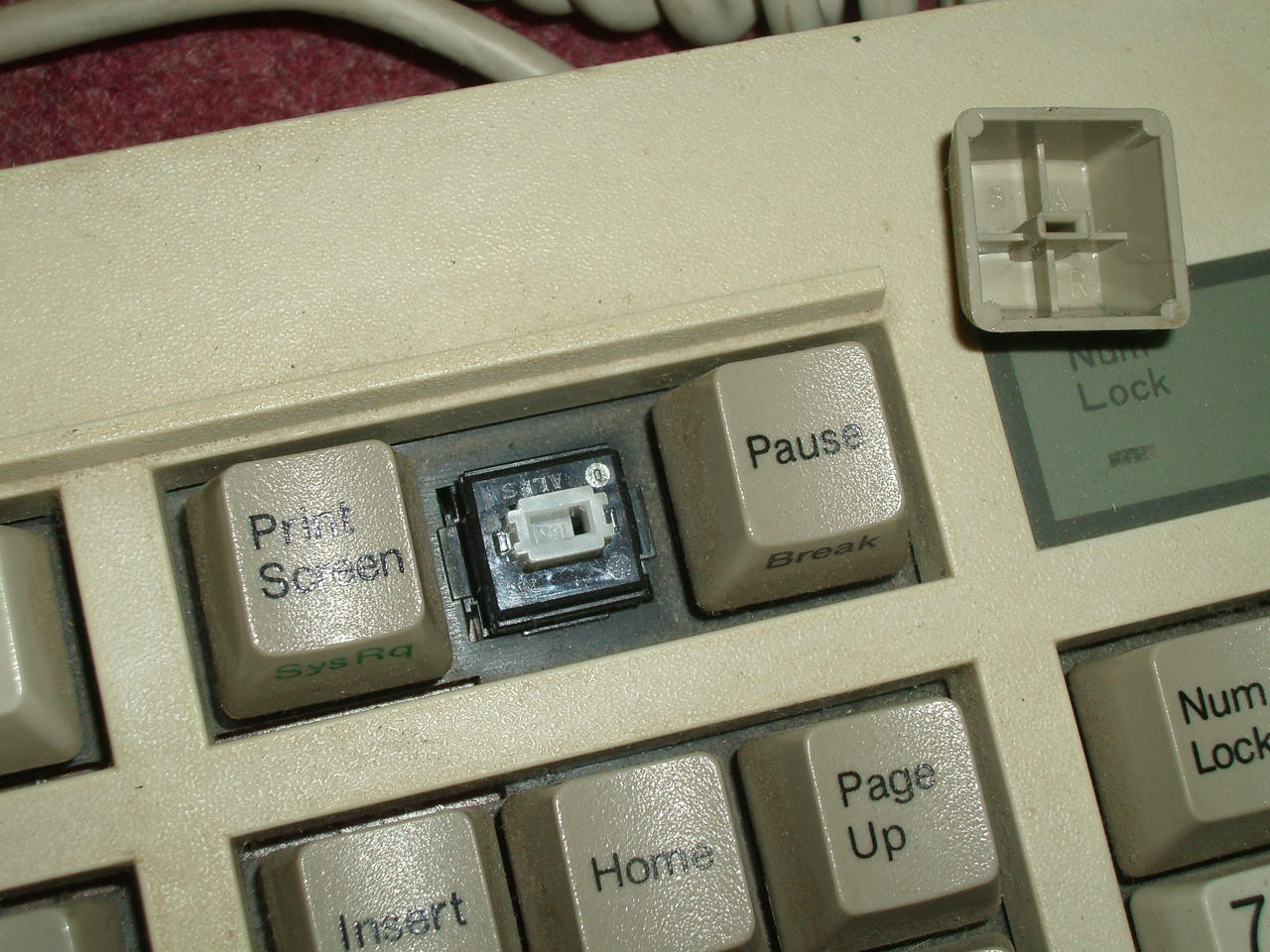 Nan Tan genuine white Alps.jpg