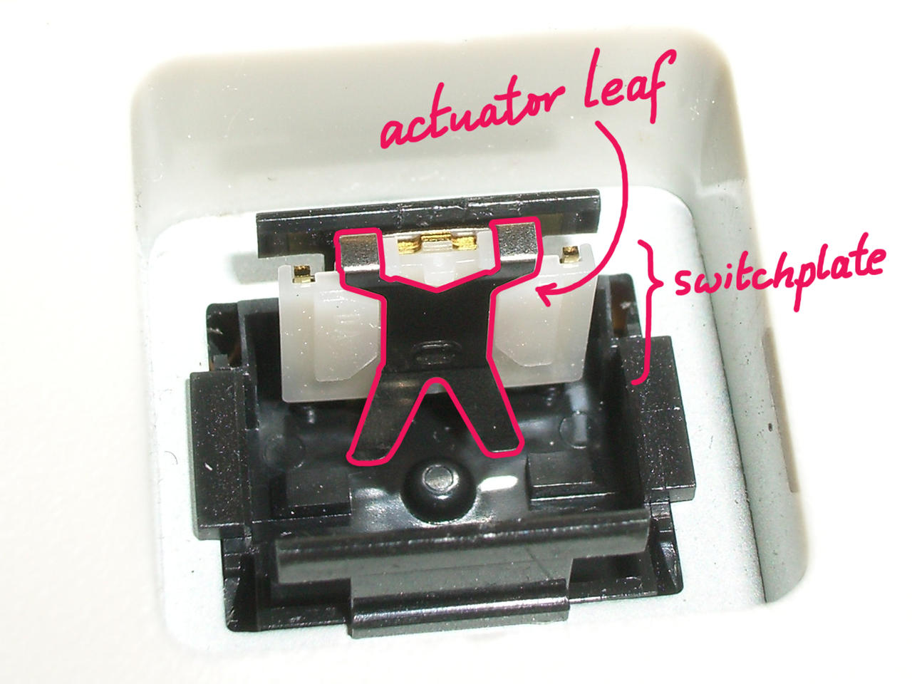 Alps switchplate and actuator leaf.jpg